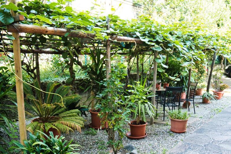 帕尔奇内斯Cafe Rudi Living住宿加早餐旅馆 外观 照片